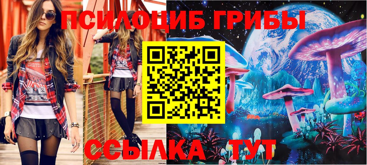 Псилоцибиновые грибы Psilocybine cubensis  Вход с VPN  цена наркотик  Тулун 